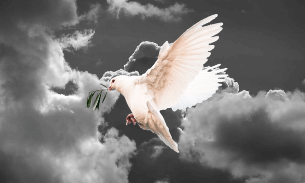 Q&A: A Second Chance for Salvation, the Special Sabbath, and Jesus’ Divinity