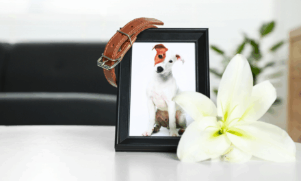 Best of BAM: Examining the Word of God, and Q&A