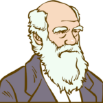 The Fossil Record, and Q&A