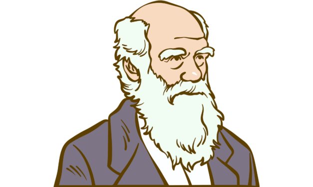 The Fossil Record, and Q&A