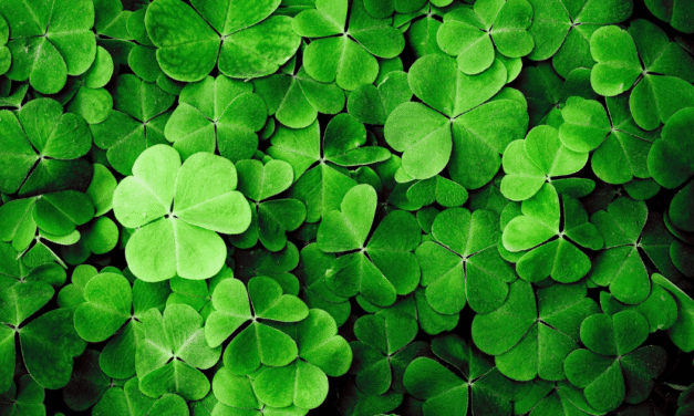 St. Patrick’s Day 2026, and Q&A