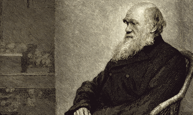 The Problems of Theistic Evolution, and Q&A