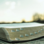The Bible as Parable and Not History, and Q&A