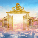 Q&A: Near-Death Experiences, Predestination, and Neo-Darwinism