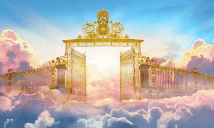 Q&A: Near-Death Experiences, Predestination, and Neo-Darwinism