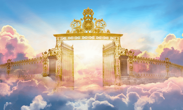 Q&A: Near-Death Experiences, Predestination, and Neo-Darwinism
