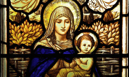 Q&A: The Sovereignty of God, Origin of Sin, and Polygamy