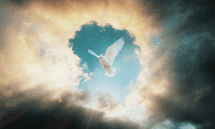 Q&A: The Little Horn, Baptism, and the Seven Letters to the Seven Churches
