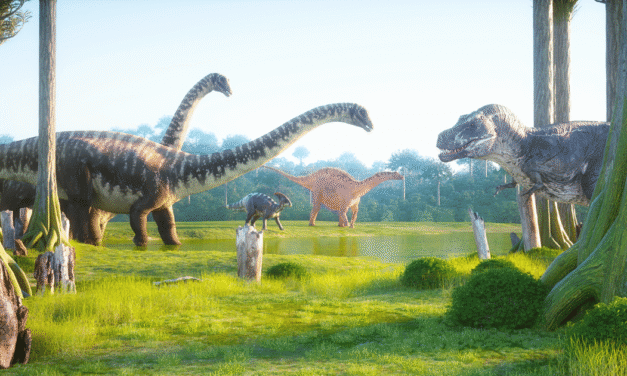 Q&A: This Generation, Megachurches, and Dinosaurs in the Bible