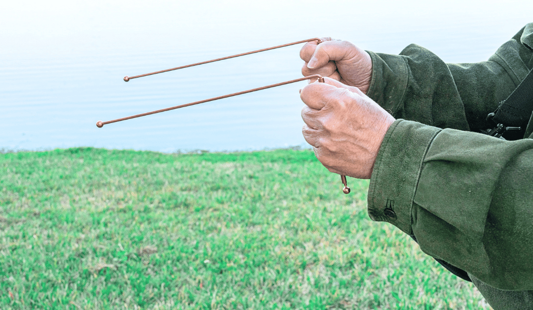Web Graphic PMR Dowsing